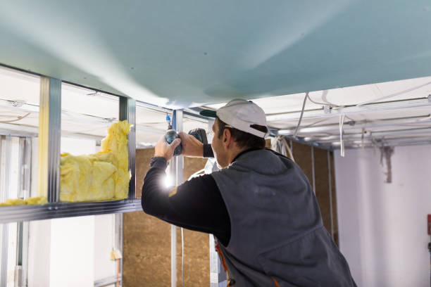 Best Geographic-Specific Insulation Services in Rosepine, LA