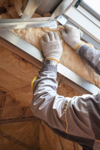Best Energy Efficiency Insulation in Rosepine, LA